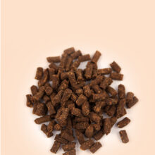 fitis_detail-2