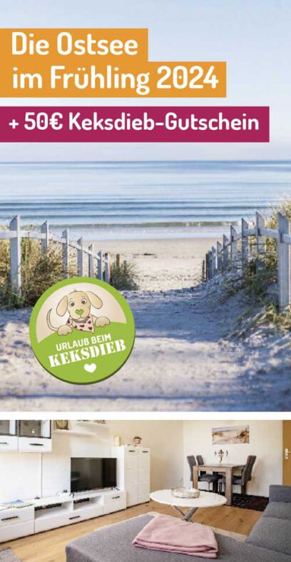 urlaub-2-fruehling-ostsee-hund
