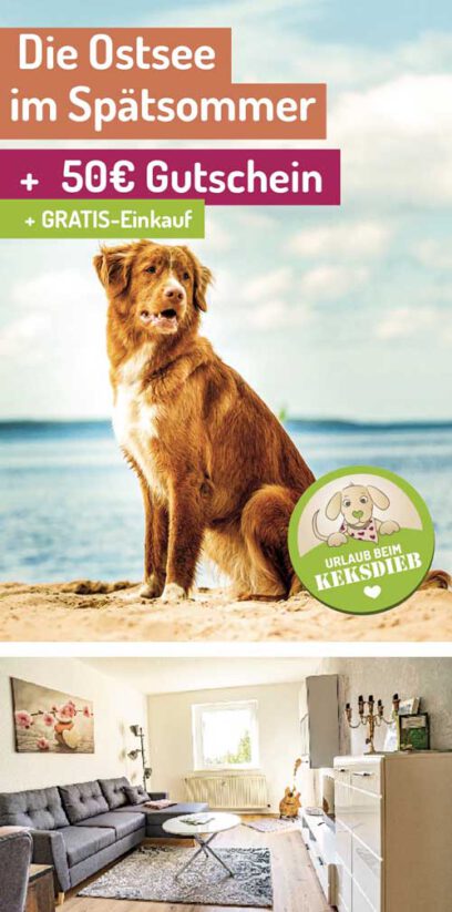 urlaub-2-herbst-ostsee-hund