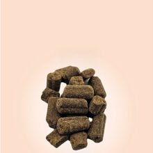 PUR Truthahn einzeln 1